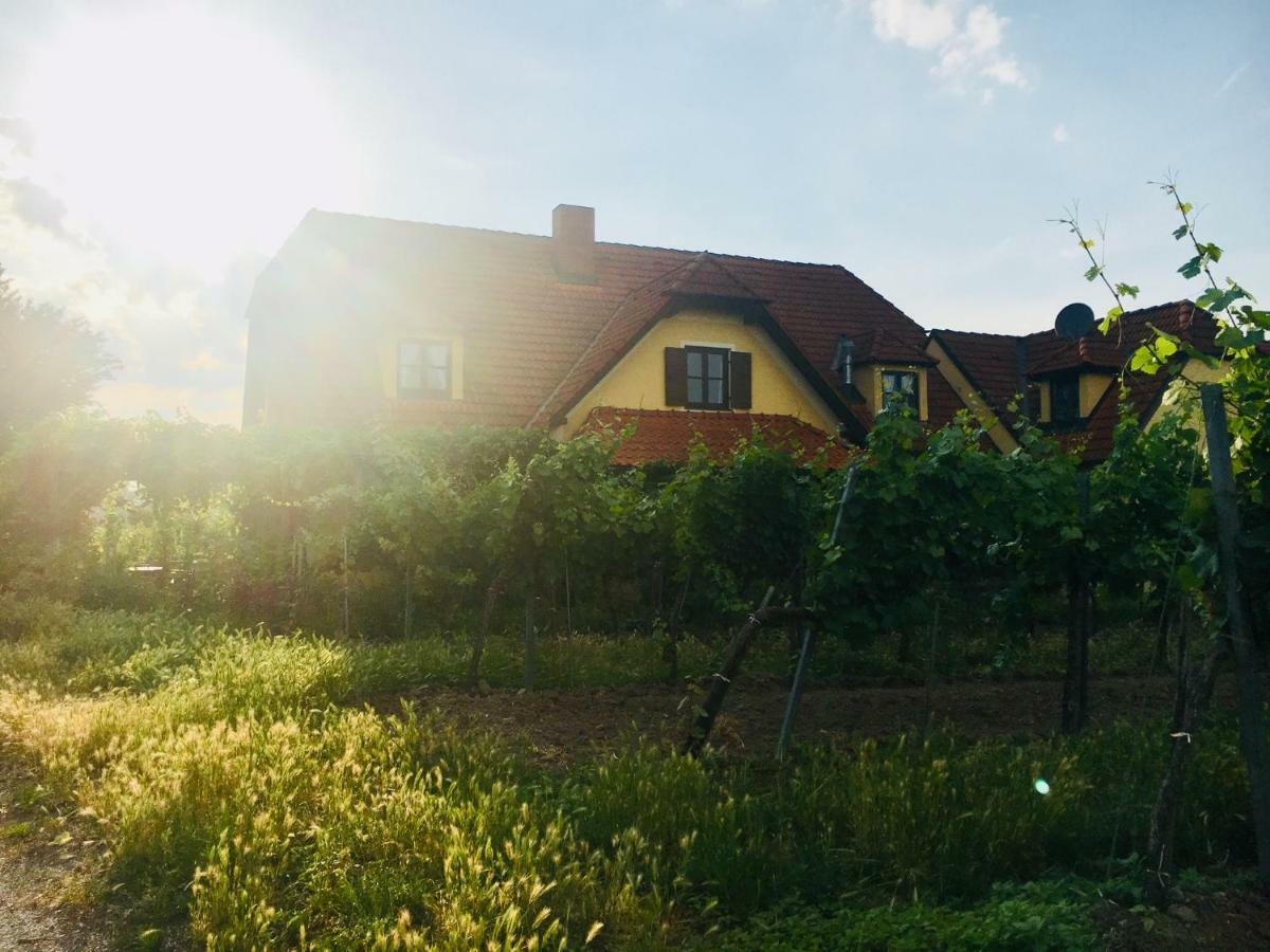 Landhaus Weinblick Rohrendorf bei Krems Exterior photo